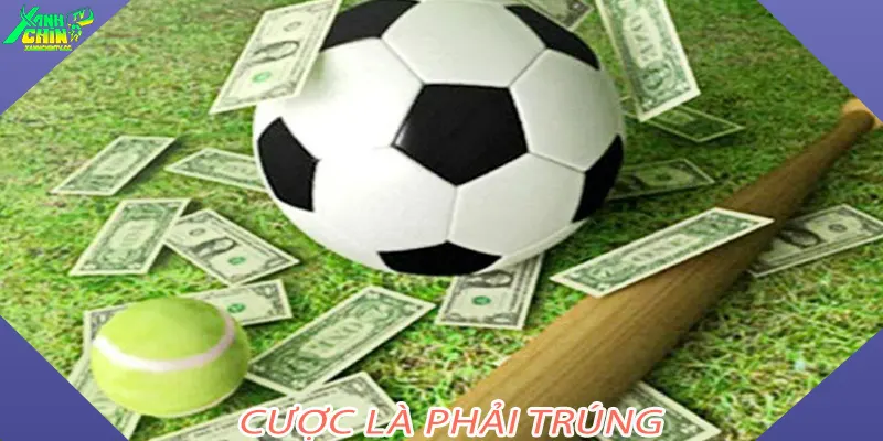 Cược Là Phải Trúng