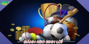 Đánh Kèo Sinh Lời