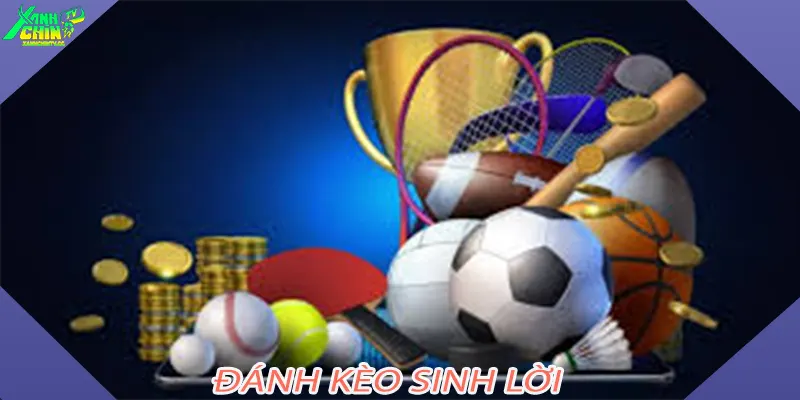 Đánh Kèo Sinh Lời