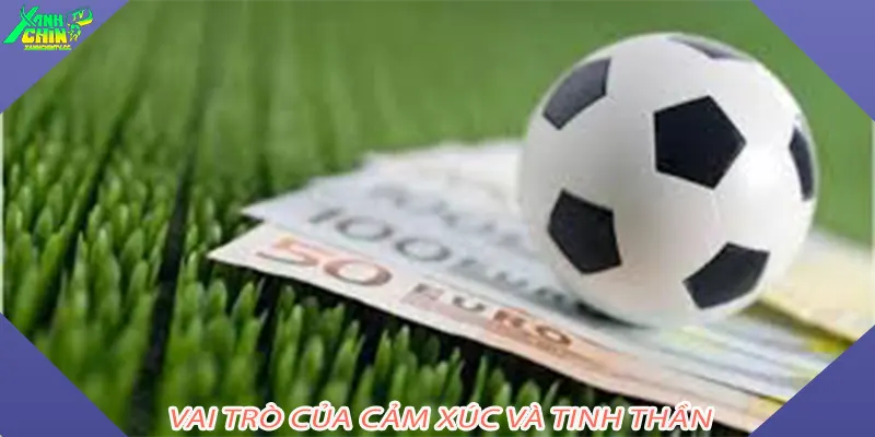 Vai trò của cảm xúc và tinh thần