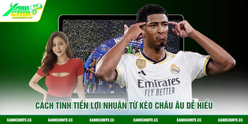 Cách tính tiền lợi nhuận từ kèo Châu Âu dễ hiểu