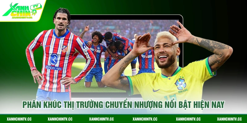 Phân khúc thị trường chuyển nhượng nổi bật hiện nay