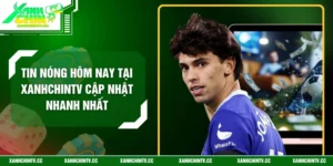 Tin Nóng Hôm Nay